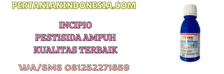 incipio,pestisida,pestisida jenis insektisida,insektisida,pertanian indonesia